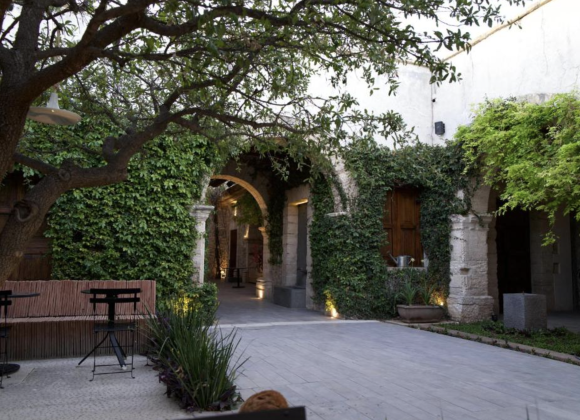 ¿Dónde comer en el centro de Saltillo? 6 lugares deliciosos que tienes que probar