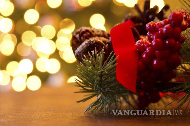 $!El muérdago (Viscum album) es una de las plantas más tradiciones de la temporada navideña.