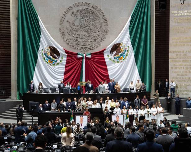 El proyecto de decreto modifica el artículo 114 Octies y adiciona los artículos 114 Nonies y 232 Septies.