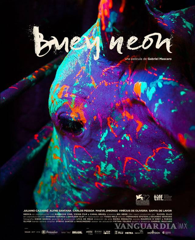 $!¡Por fin! Llega la 60 Muestra Internacional de Cine