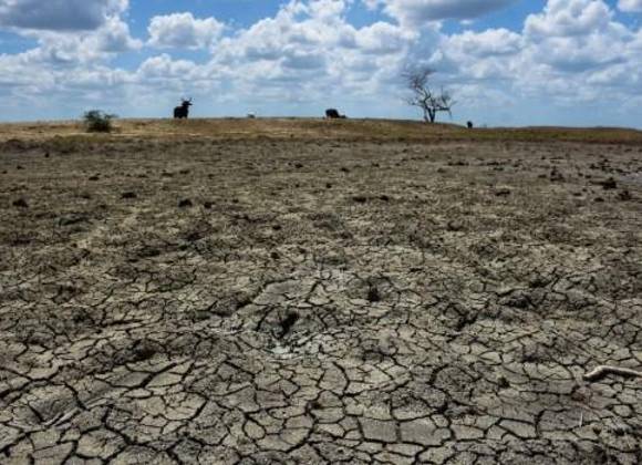 Azota sequia extrema a municipios de Coahuila