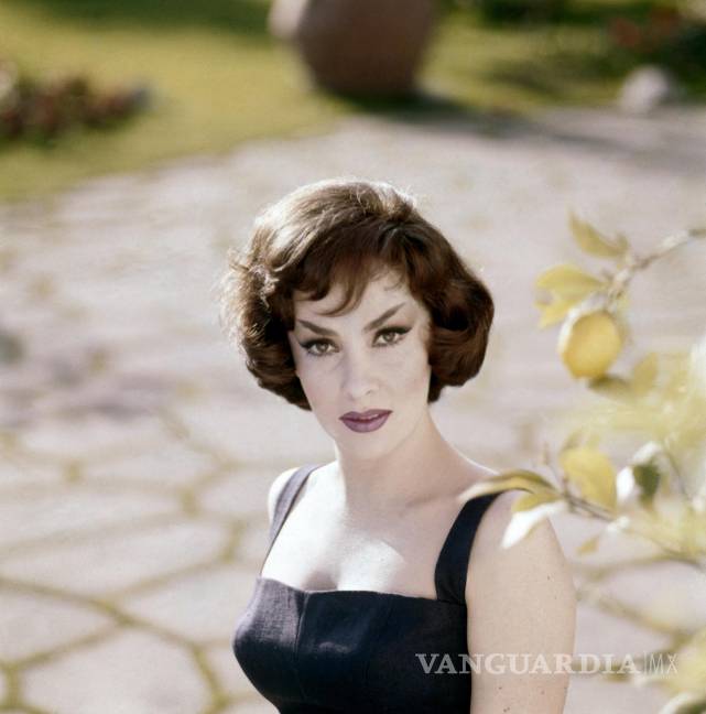 Gina Lollobrigida, considerada la mujer mas hermosa del mundo, muere a los 95 años
