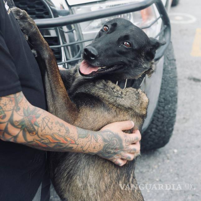 Rescatistas de Nuevo León salen a Texas a ayudar en búsqueda de desaparecidos por inundaciones