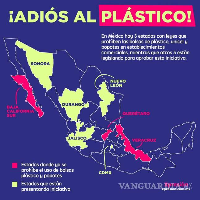 $!Usar bolsas de plástico y popotes está prohibido en estos estados de México