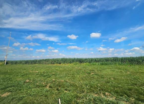 Brasil, sembrando futuro y cosechando independencia; una lección para México