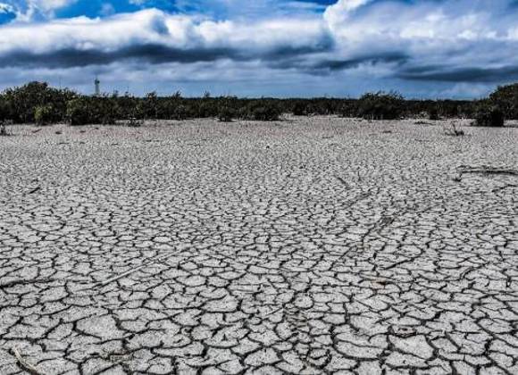 Ante sequía, temen pérdida del ganado; productores piden apoyo