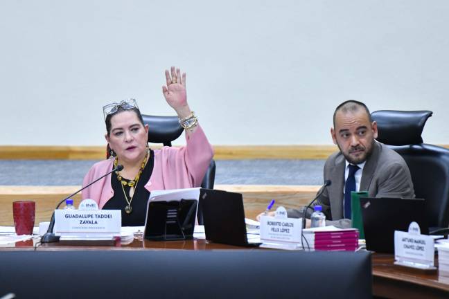 El anuncio se da después de que se dieran a conocer presuntas anomalías financieras y presuntos desvíos de recursos públicos en el Instituto.
