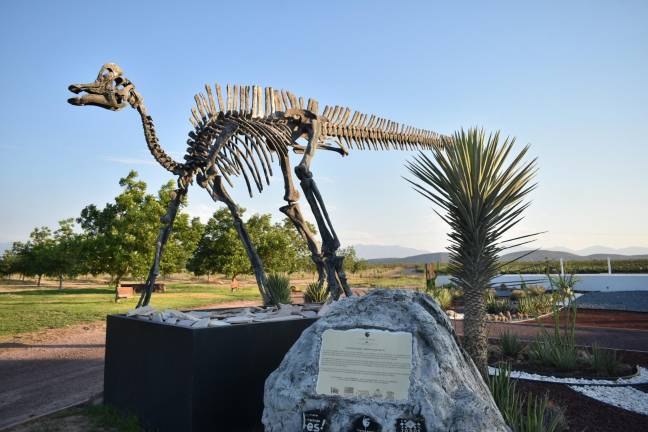 El gobernador dijo que la temporada es ideal para visitar Coahuila aprovechando condiciones de seguridad.