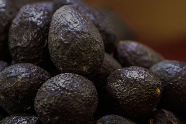 CIUDAD DE MÉXICO. 07AGOSTO2026.- En la Central de Abastos de la Ciudad de México se espera un excedente de aguacates, así como también una baja en su precio. Estados unidos no permitirá la exportación de este producto. FOTO: VICTORIA VALTIERRA/CUARTOSCURO.COM