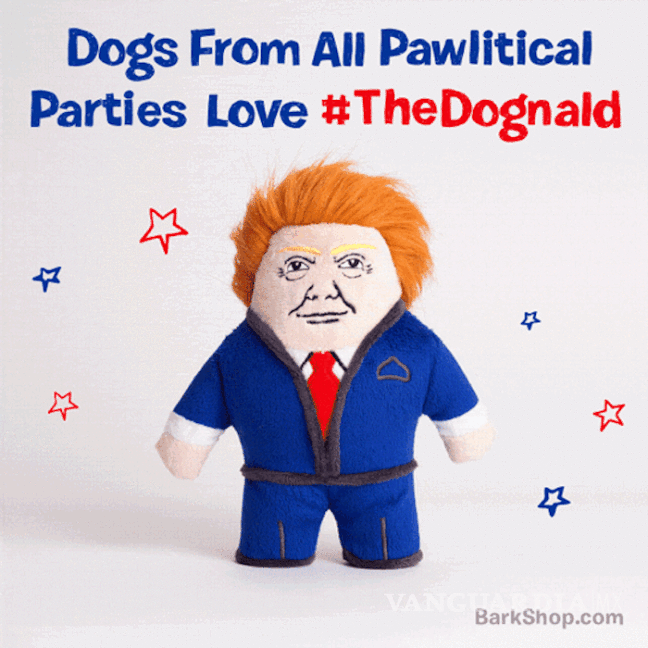$!¿Quieres una buena mascota para tu perro? Dognald Trump podría ser
