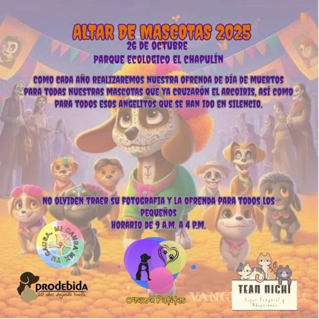 $!Integrantes de Corazón Patitas invitan a la ciudadanía a participar en el Michi-Fest 2025, evento dedicado al bienestar y respeto hacia los gatos.