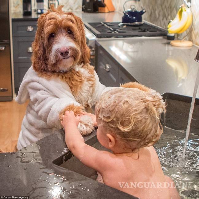 $!Buddy y Regan, la amistad que se ha vuelto viral en internet
