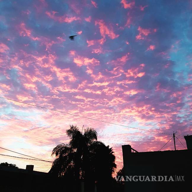 $!Monterrey recibe el día con un gran amanecer (FOTOS)