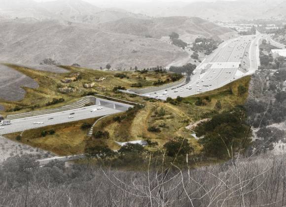 World’s largest animal bridge built in California