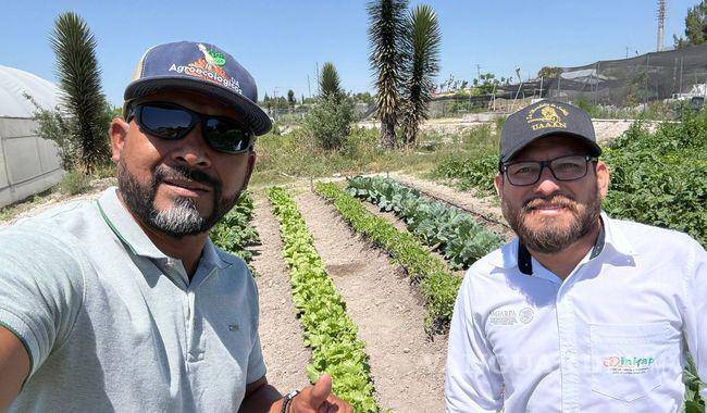 $!La colaboración interinstitucional también impulsa la formación de nuevos profesionistas y la transferencia de conocimiento hacia los productores del País.
