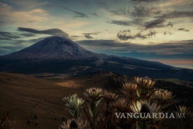 $!Este año para el concurso se inscribieron cerca de 2 mil participantes, informaron los organizadores.