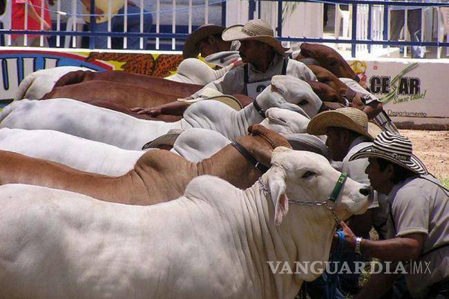 Piden elevar el estatus zoosanitario de Coahuila para la ganadería