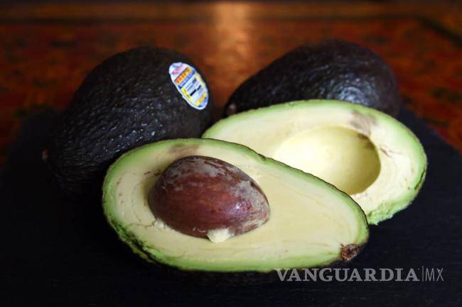 Productores de aguacate prevén precio estable en tres semanas
