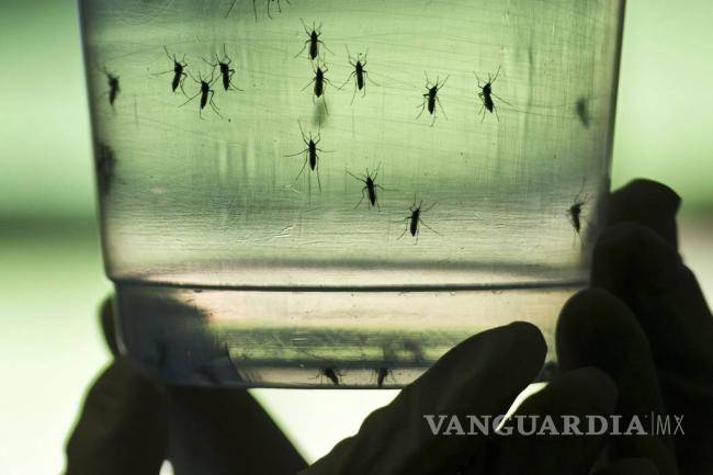 ‘Casos de zika irán a la baja’