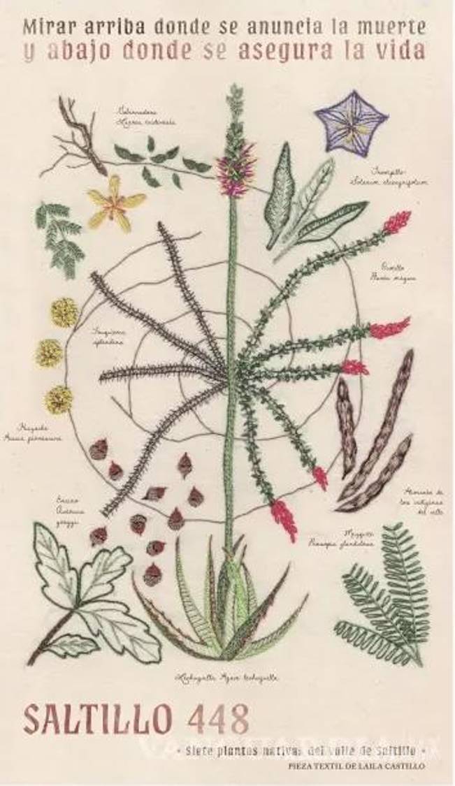 $!Laila Castillo, autora de la postal de Saltillo 448, impartirá taller de intervención textil en el Cerdo de Babel