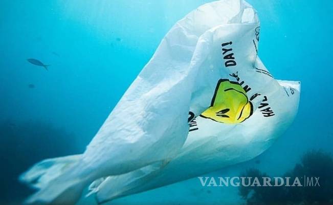 $!¡Larga vida al mar!: Crean bolsa que en el agua se convierte en comida para peces