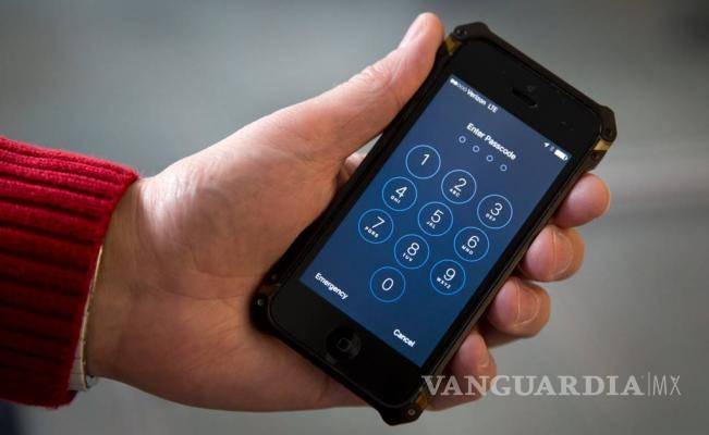 Pide Apple ampliar plazo en caso iPhone