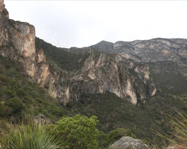 La Sierra de Zapalinamé cumplirá 30 años como reserva estatal, aniversario que será conmemorado con una mesa de diálogo sobre su conservación y manejo.