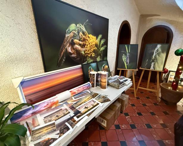 Daniel Bates Hurtado abre su estudio con fotografías de los bosques y desiertos de Coahuila