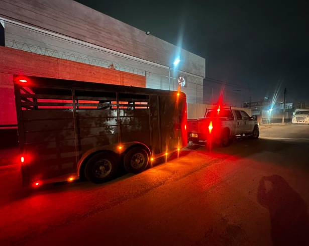 El armamento fue localizado oculto en un compartimento de la cabina de una camioneta con placas de Texas.