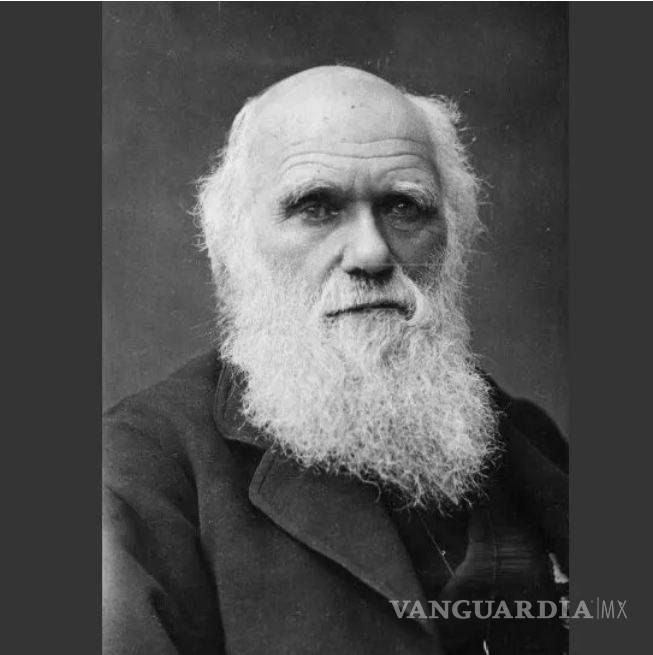 $!Tu jugo del día: 'Apaga' detención de líder religiosoa la 'Luz del Mundo'