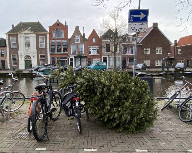 Civilización y Barbarie