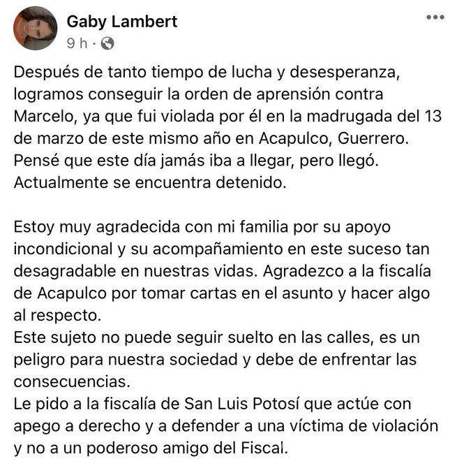 $!Detienen por violación a nieto de ex gobernador de SLP