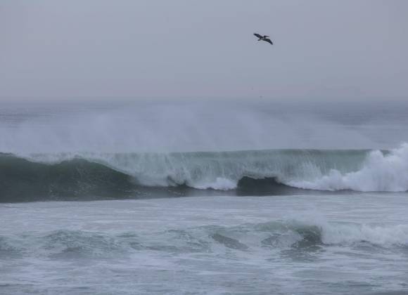 ¿Estás de vacaciones en la playa? Así debes actuar si suena una alerta de tsunami