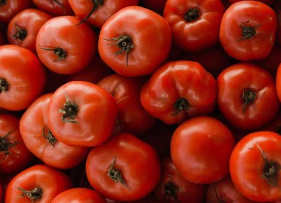 Alcanzan EU y México acuerdo por arancel al jitomate: Seder