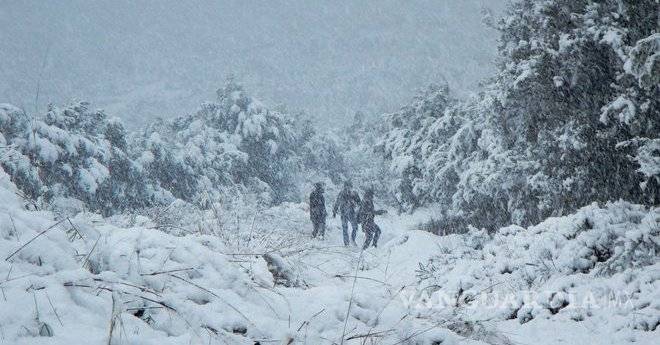 $!Ola gélida barre Europa; el frío bate récords en Rusia y Alemania