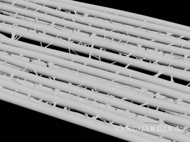 $!¿Mueres de Calor? Diseñan nuevo tejido que sirve para enfriar la piel