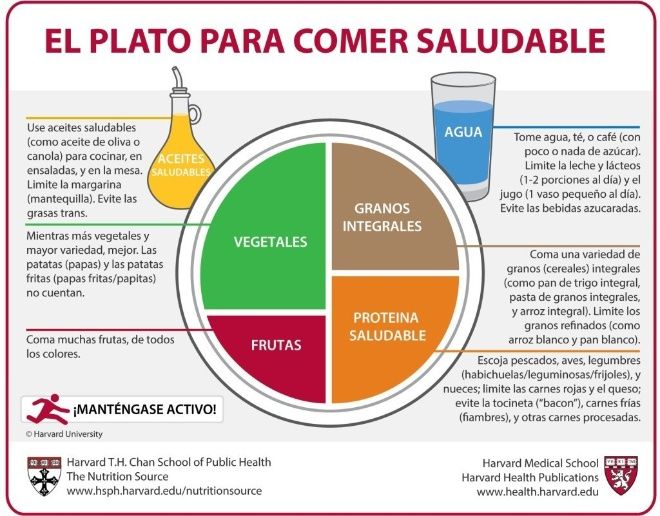 $!Chequen esta efectiva dieta de la Universidad de Harvard