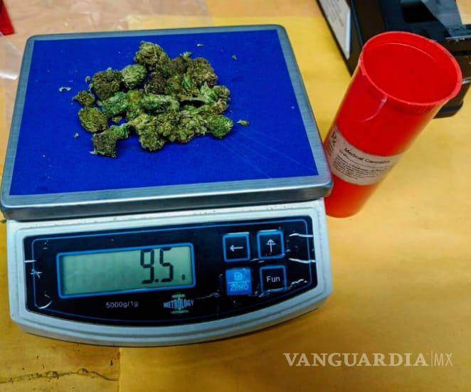 Cateos en Nuevo León por delitos contra la salud arrojan cuatro detenidos