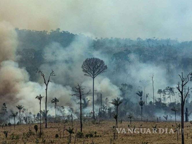 $!La Amazonia agoniza; presionan al presidente de Brasil, Jair Bolsonaro