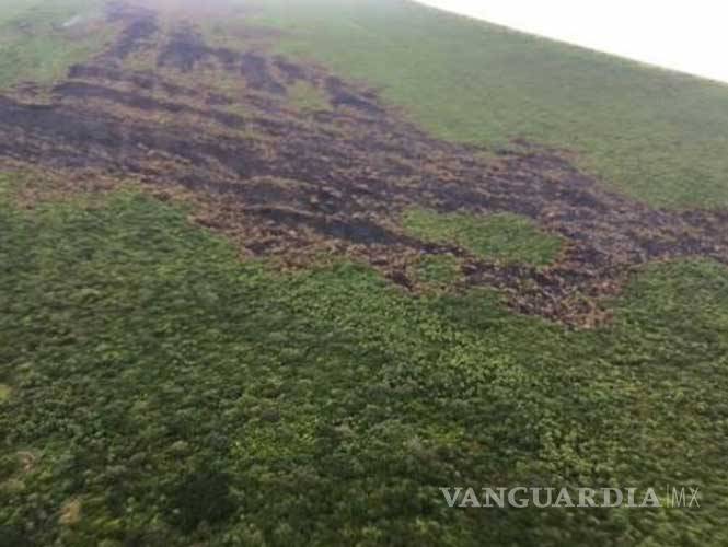 $!Protegida por 20 años el área afectada por incendio en Holbox