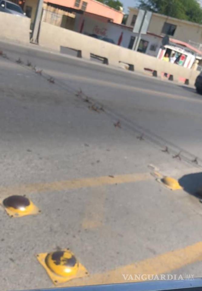 $!Incendian vehículo durante 'narcobloqueo' en Nuevo Laredo