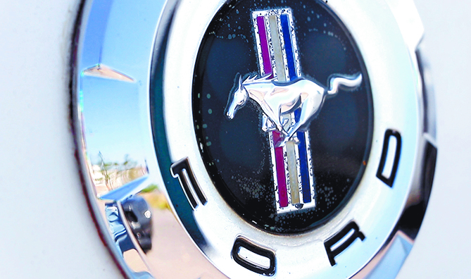 $!¿Porqué los amantes del Mustang en Coahuila son diferentes a todos los demás?