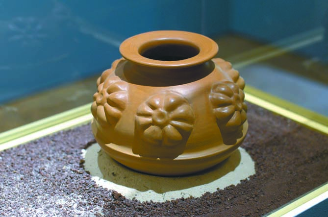 $!El peyote: Descubre la magia de una planta sagrada