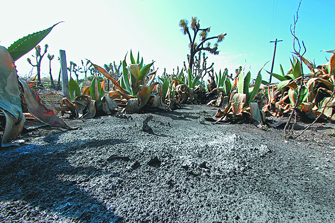 $!Lo que el incendio se llevó: un paisaje que nunca más verán nuestros ojos