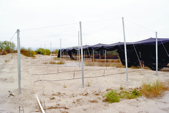 $!La historia de cuatro obras millonarias que no sirvieron para nada a los campesinos