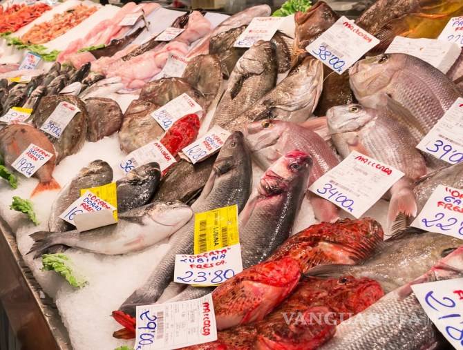 $!Alertan en redes sociales sobre riesgos de consumir pescado Panga
