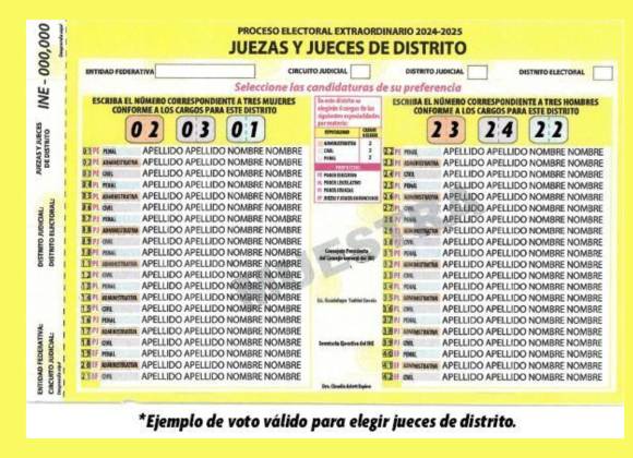 Votos válidos y votos nulos en la elección judicial