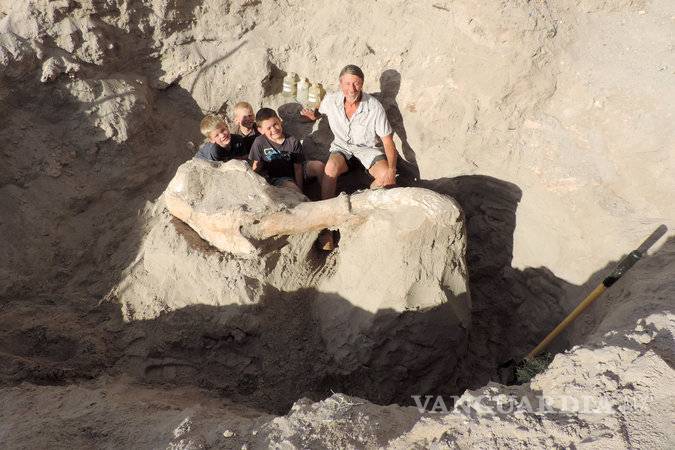 $!Niño se tropieza con fósil en Nuevo México