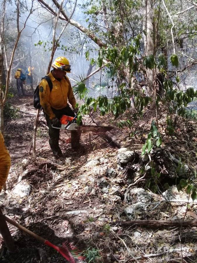 $!Incendio en reserva Sian Ka'an en Quintana Roo, controlado al 80%