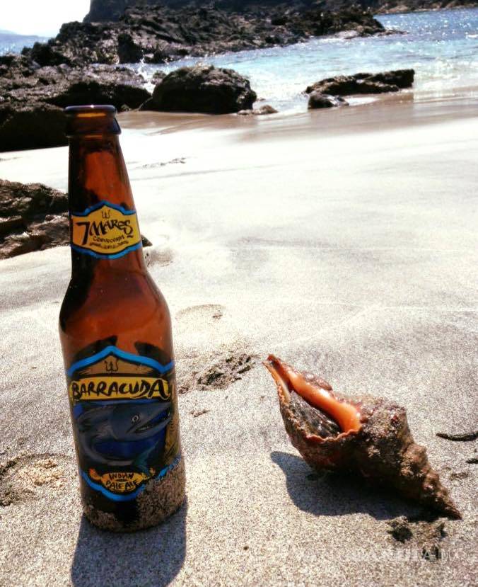 $!Encuentra las cervezas del Beerfest en Saltillo